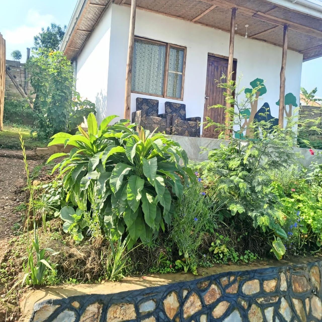 Ruhija Gorilla Guest House Kabale Экстерьер фото